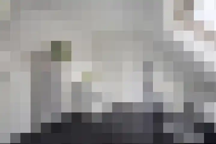 Thiedamawei 14 Damwâld thumbnail 68