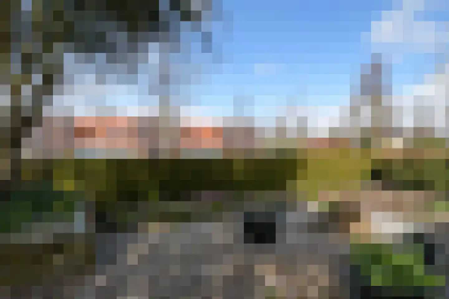 Thiedamawei 14 Damwâld thumbnail 71