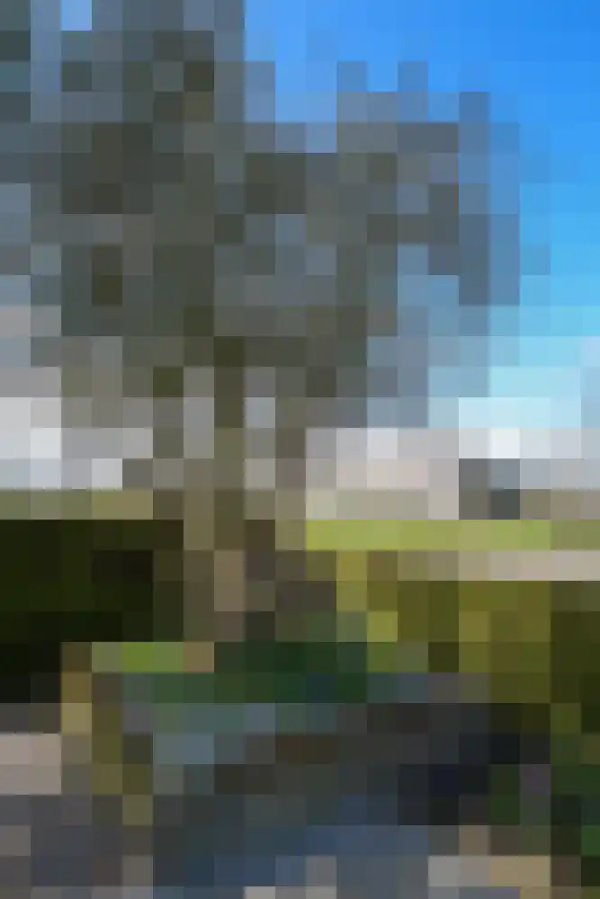 Thiedamawei 14 Damwâld thumbnail 72