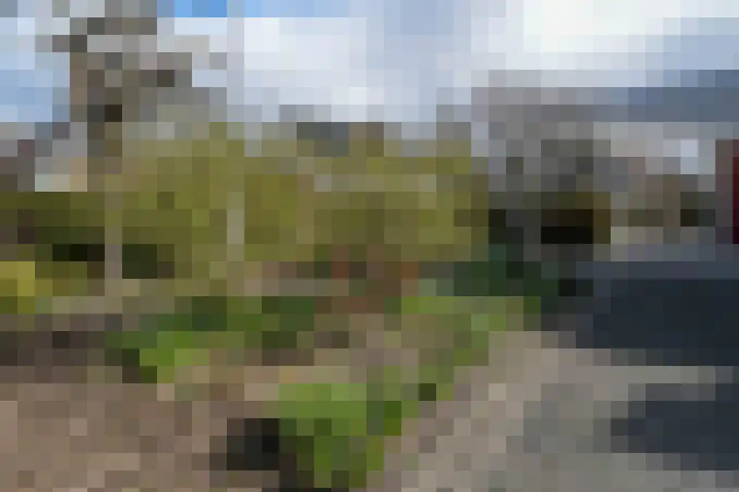 Thiedamawei 14 Damwâld thumbnail 74