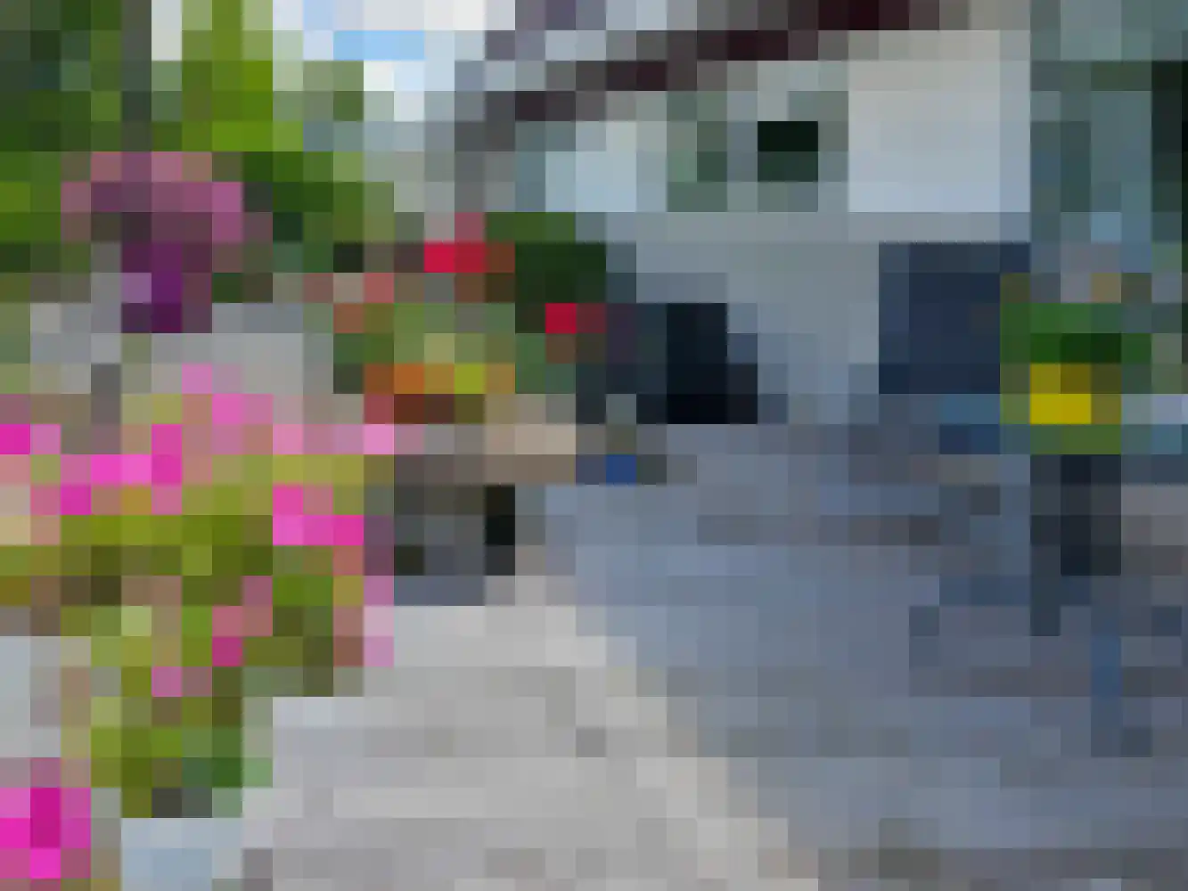 Thiedamawei 14 Damwâld thumbnail 77