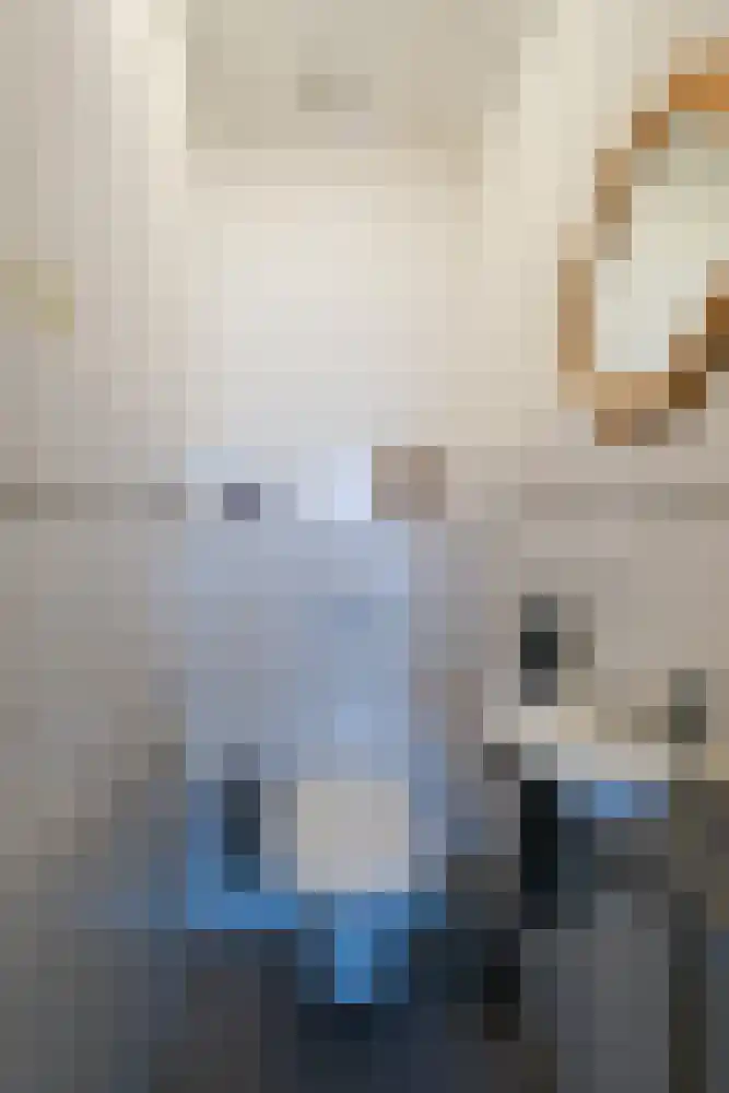 Thiedamawei 14 Damwâld thumbnail 9