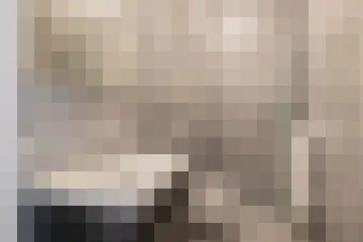 Foto von Thijmen van den Akker