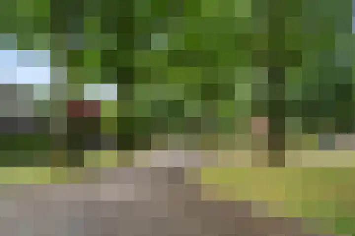 Thijsselaan 11 Velp thumbnail 4