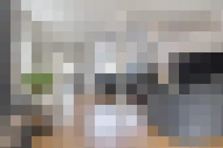 Thijsselaan 128 Culemborg thumbnail 7