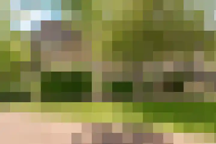 Thijsselaan 35 Culemborg thumbnail 5