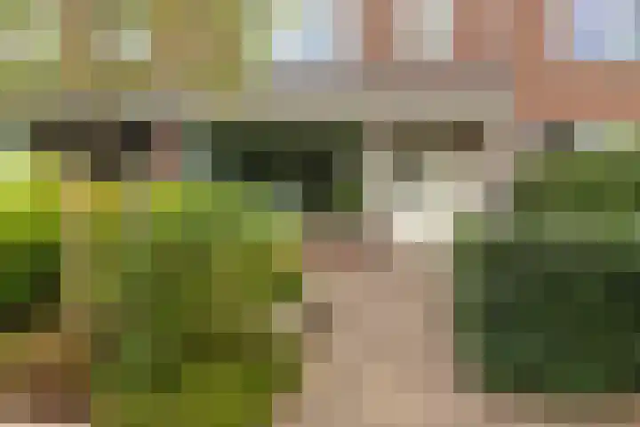 Thijssenstraat 14 Heemskerk thumbnail 37