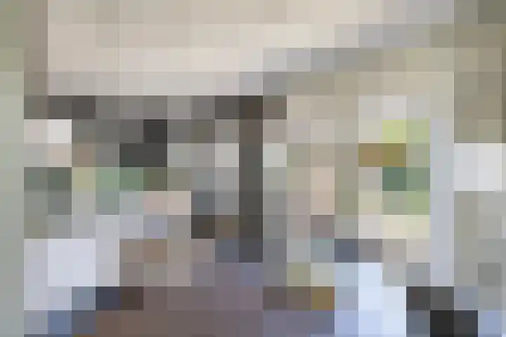 Tholen 8 Emmeloord thumbnail 11