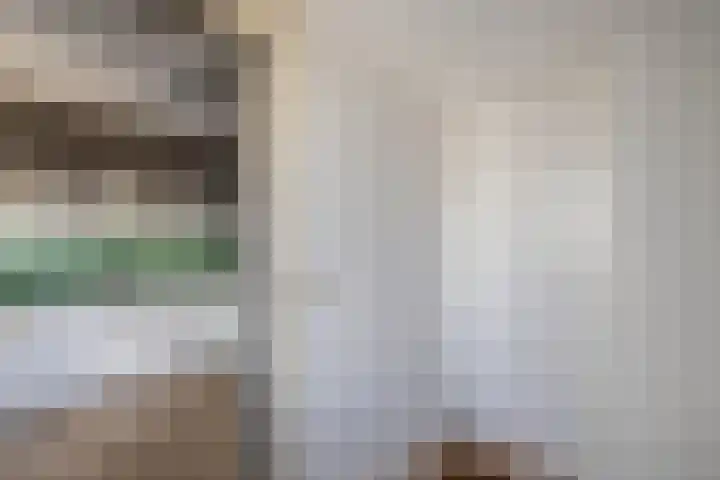 Tholen 8 Emmeloord thumbnail 15