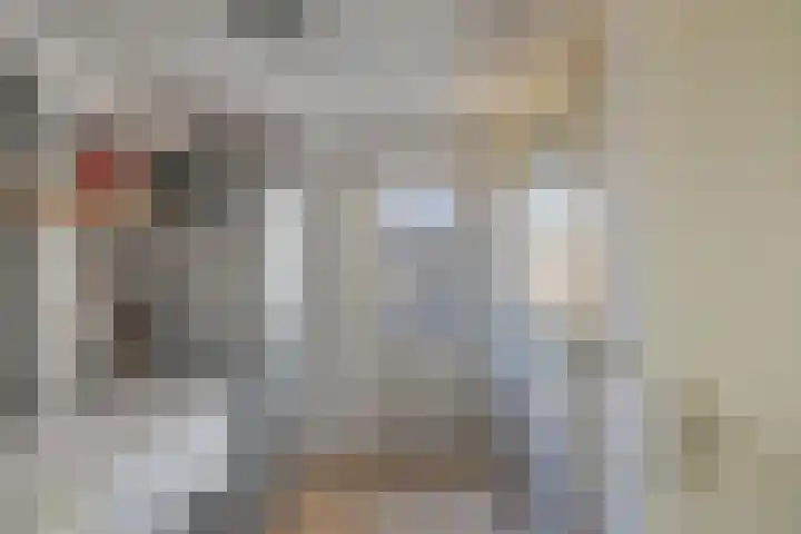 Tholen 8 Emmeloord thumbnail 16