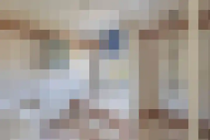 Tholen 8 Emmeloord thumbnail 23