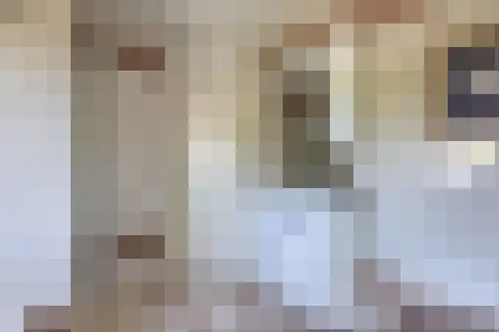 Tholen 8 Emmeloord thumbnail 25