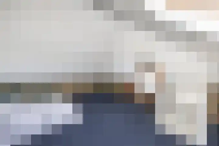 Tholen 8 Emmeloord thumbnail 28