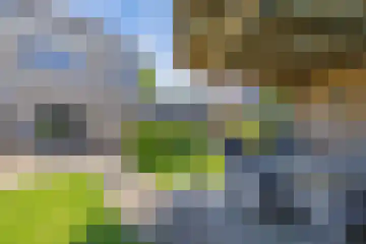 Tholen 8 Emmeloord thumbnail 32