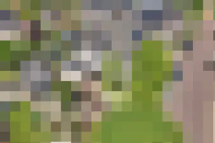 Tholen 8 Emmeloord thumbnail 36