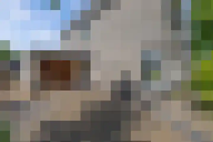 Tholen 8 Emmeloord thumbnail 37