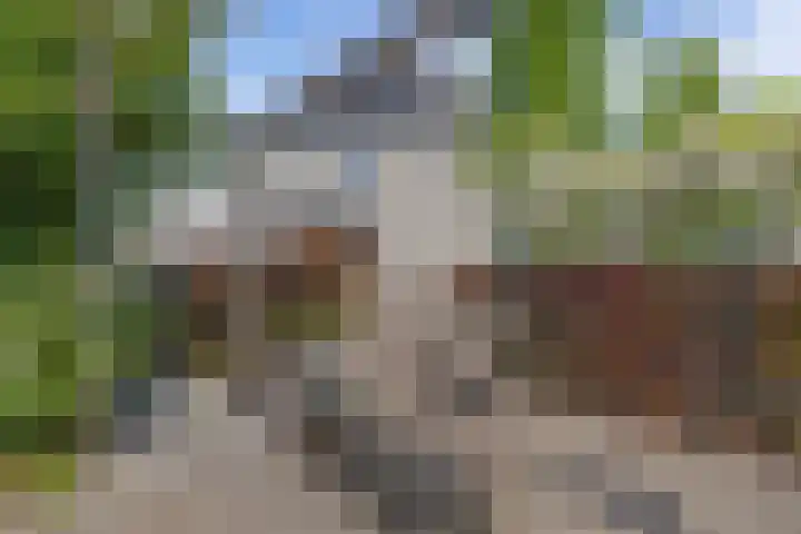 Tholen 8 Emmeloord thumbnail 38