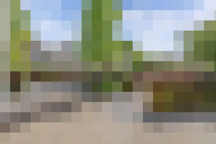 Tholen 8 Emmeloord thumbnail 39