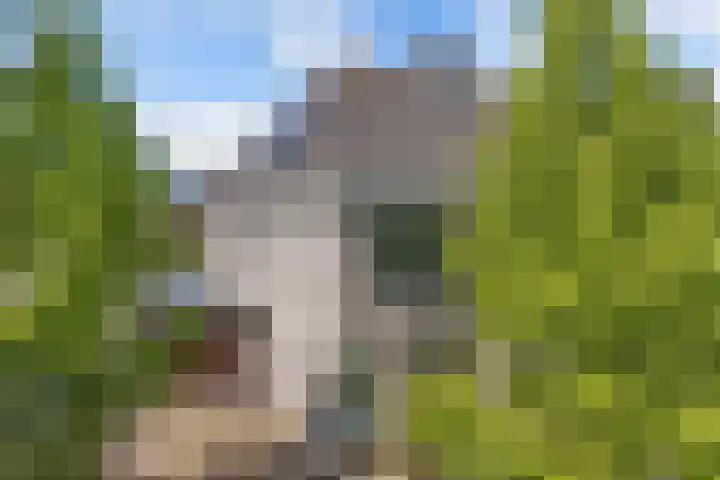 Tholen 8 Emmeloord thumbnail 40