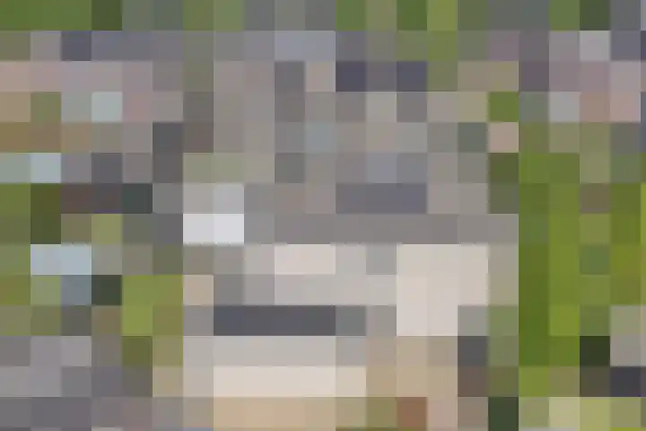 Tholen 8 Emmeloord thumbnail 41