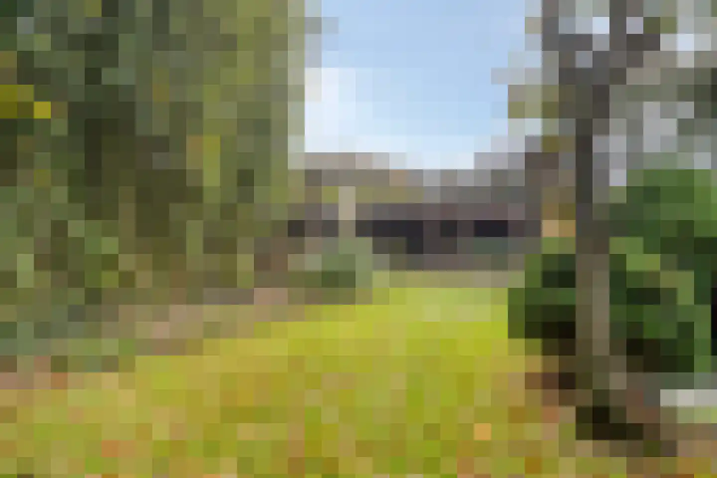 Tholenseweg 6 Halsteren thumbnail 38