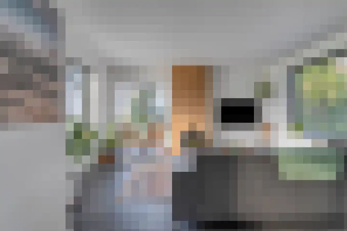 Tholenseweg 6 Halsteren thumbnail 6