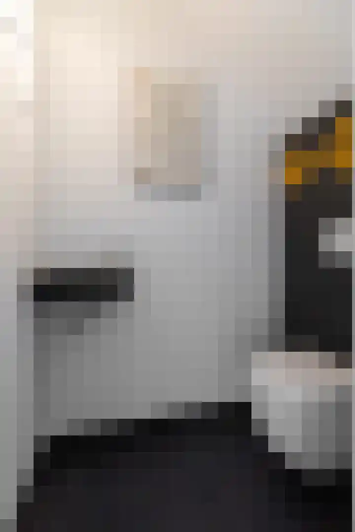 Tholenstraat 22 Duiven thumbnail 12