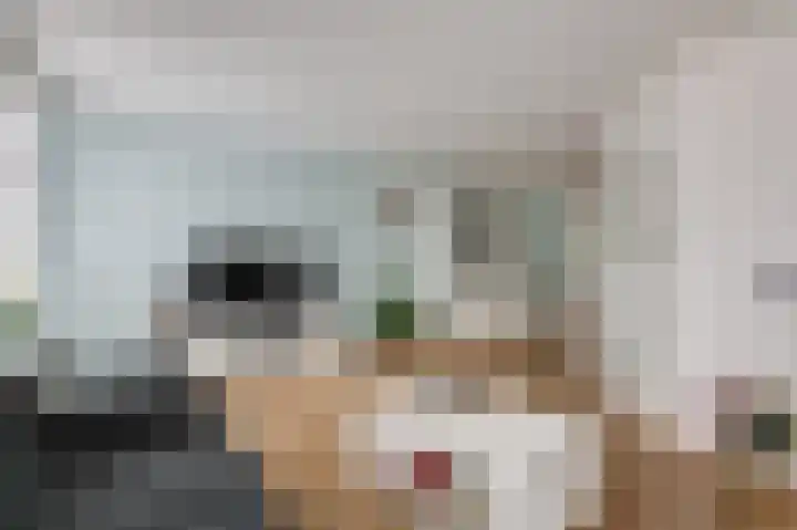 Tholenstraat 22 Duiven thumbnail 17