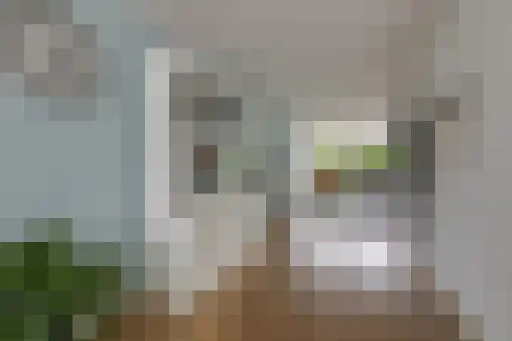 Tholenstraat 22 Duiven thumbnail 18