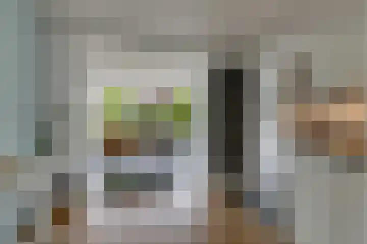 Tholenstraat 22 Duiven thumbnail 19