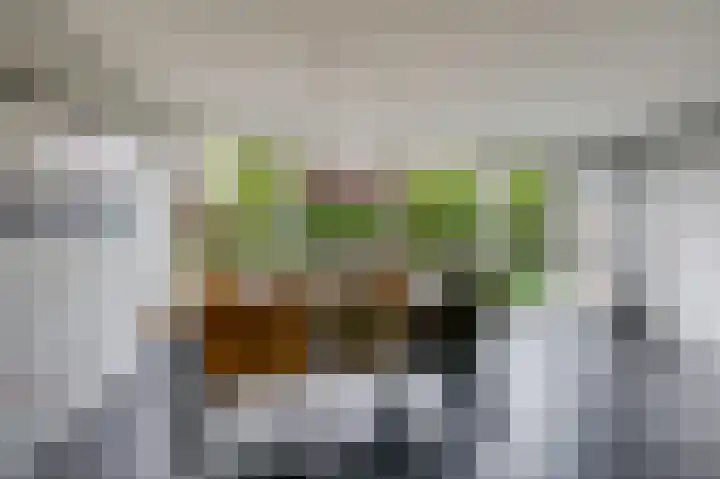 Tholenstraat 22 Duiven thumbnail 20