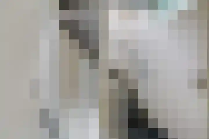 Tholenstraat 22 Duiven thumbnail 32