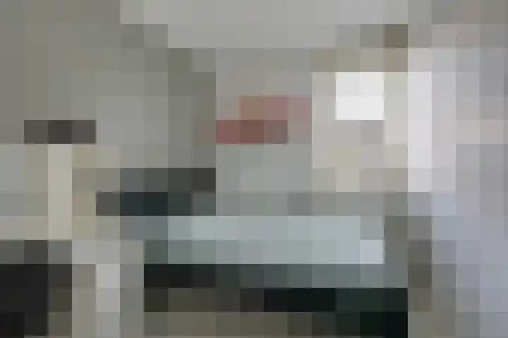 Tholenstraat 22 Duiven thumbnail 37