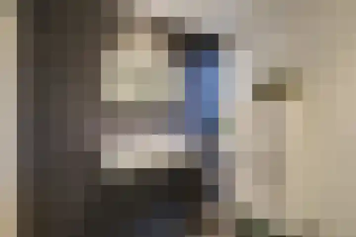 Tholenstraat 22 Duiven thumbnail 41