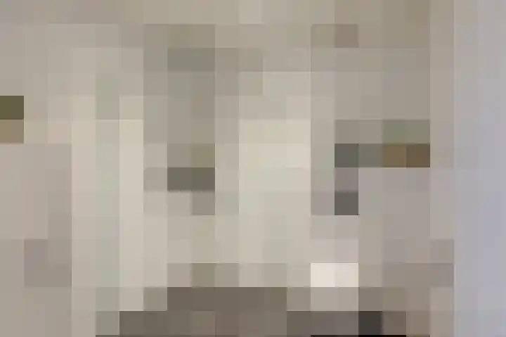 Tholenstraat 22 Duiven thumbnail 42