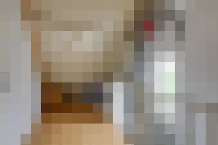 Tholenstraat 22 Duiven thumbnail 43