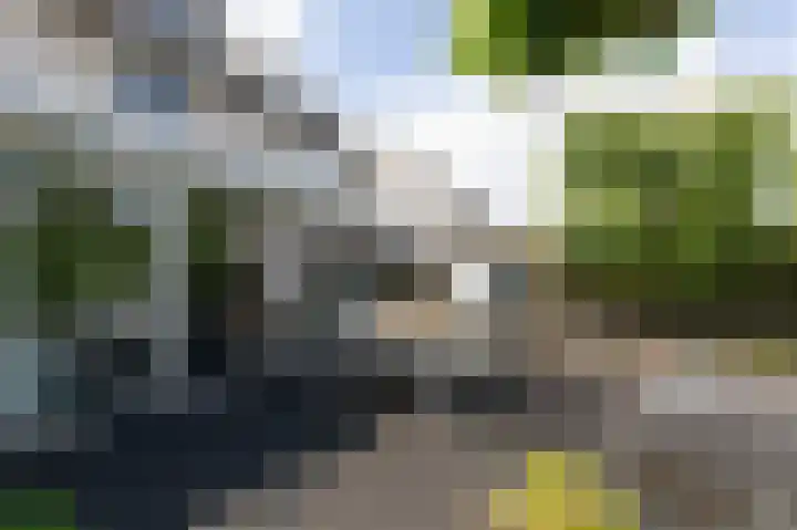 Tholenstraat 22 Duiven thumbnail 51