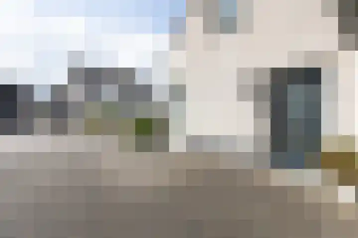 Tholenstraat 22 Duiven thumbnail 60