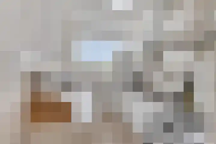 Tholenstraat 64 Rotterdam thumbnail 5