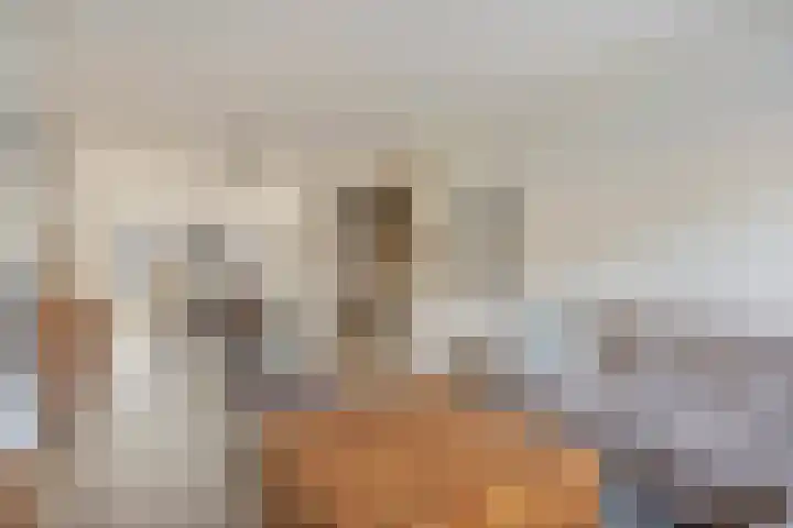 Photo de bureau de Thoma Post Makelaars Almelo