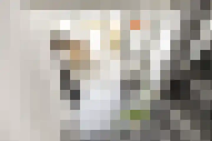 Thomas de Grootstraat 20 Franeker thumbnail 19