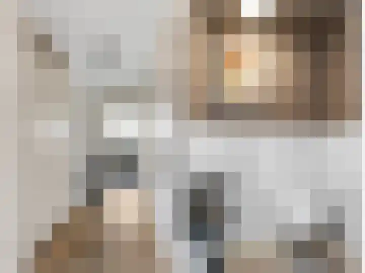 Thomas de Grootstraat 20 Franeker thumbnail 30