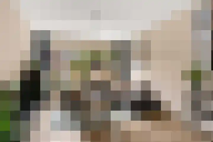 Thomas de Grootstraat 20 Franeker thumbnail 5