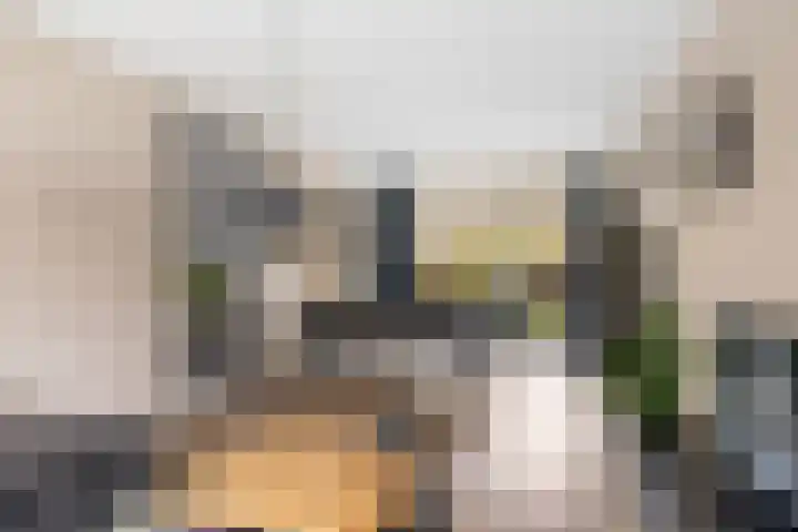 Thomas de Grootstraat 20 Franeker thumbnail 7