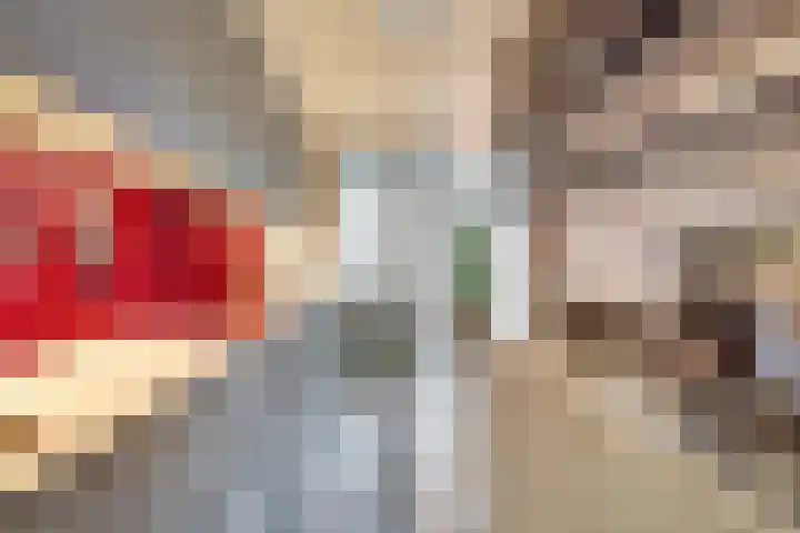 Thomas Ettylaan 48 Arnhem thumbnail 23