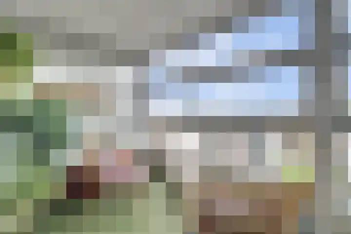 Thomas Ettylaan 48 Arnhem thumbnail 34