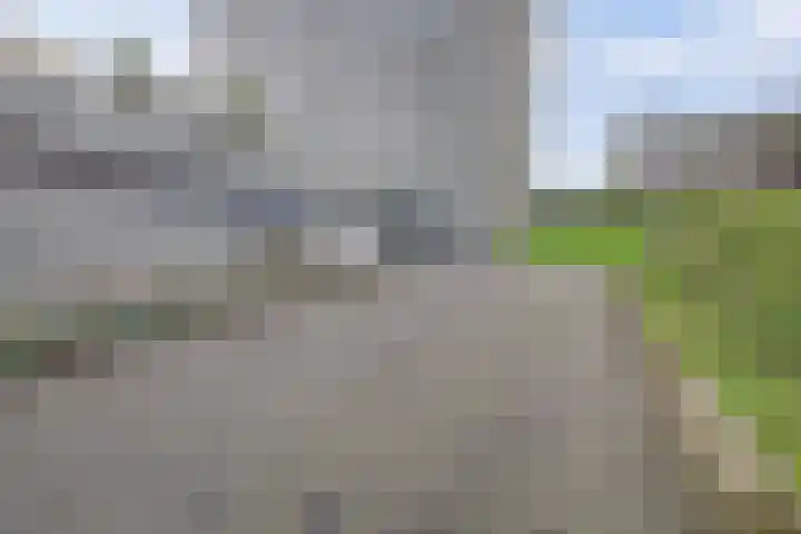 Thomas Ettylaan 48 Arnhem thumbnail 41