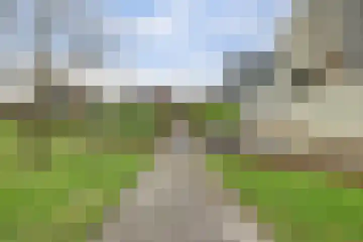 Thomas Ettylaan 48 Arnhem thumbnail 43