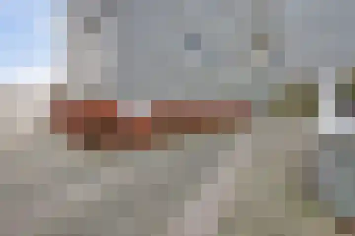 Thomas Ettylaan 48 Arnhem thumbnail 47
