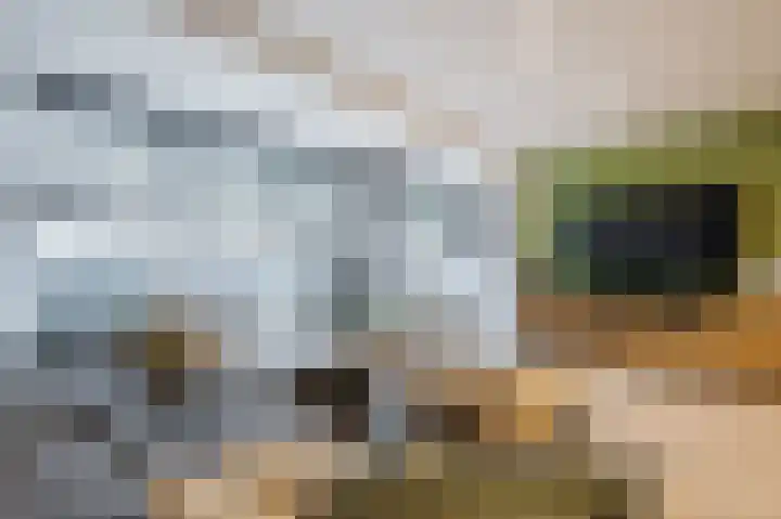 Team foto van Thomas Makelaardij